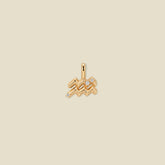 Aquarius Zodiac Charm | Final Sale