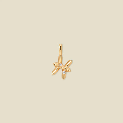 Pisces Zodiac Charm | Final Sale