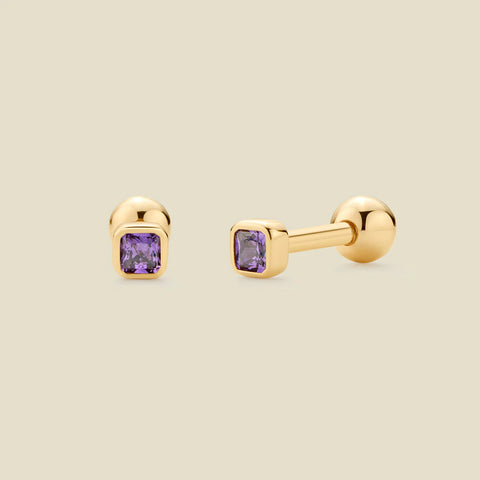 February Birthstone Stud Earrings | Final Sale