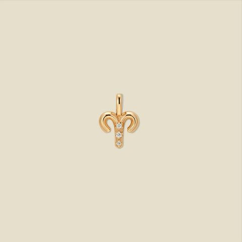 Aries Zodiac Charm | Final Sale